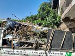 Best Yard Waste Removal  in Pikeville, TN